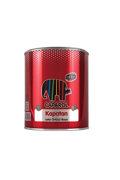 Filli Boya Kapatan Boya Leke Örtücü Boya