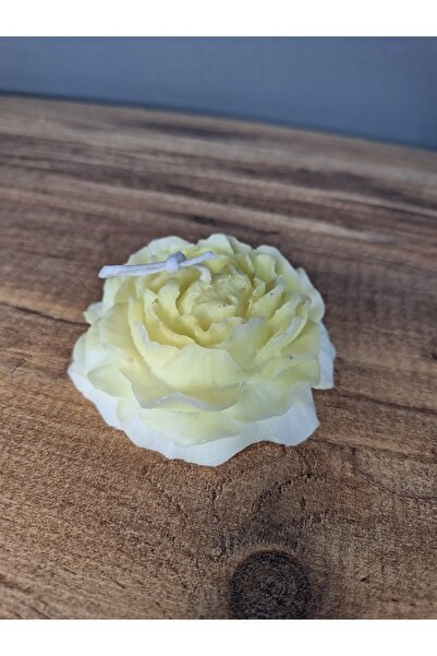açmış şakayık mum