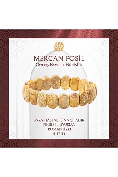 Saff Doğal Taş سوار من الحجر الطبيعي المرجاني الأحفوري واسع القطع - 20-21 سم