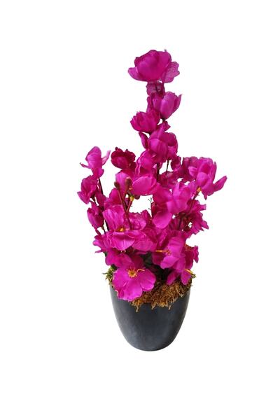 Cennet Home زهرة Bahardalı في وعاء زهرة اصطناعية لشرفة سطح المكتب