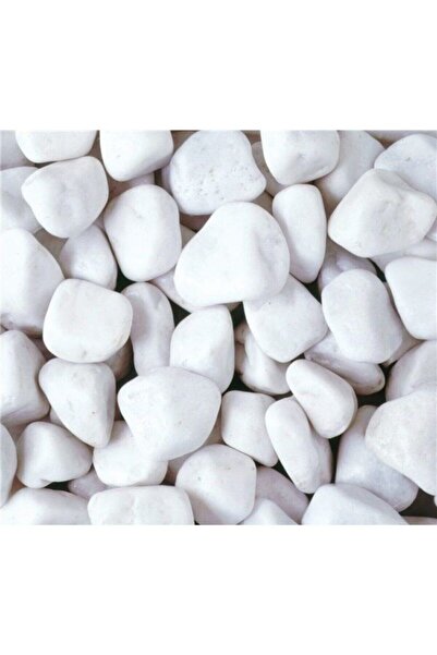 Doğalsan Tarım Beyaz Dolomit Taş 10 Kg 2-4 Cm Dere Taşı Çakıl Taşı Saksı Taşı...