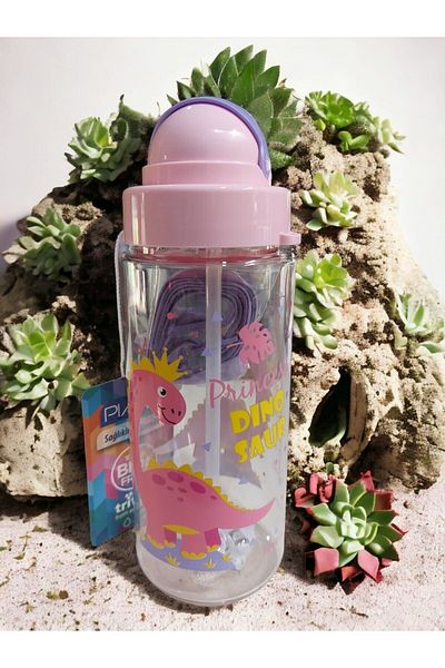 Timon Pink Dinosaur 0.5 flask with Pink Lid
