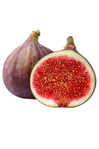 fidanpaketim Bursa Siyah(Dürdane) İncir Ağacı