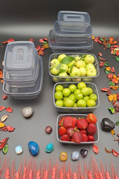 SWENCRAFT Food Storage Container Set of 9 PP 5 Luxury Stylish Box That Can Enter Microwave and Deep Freezer