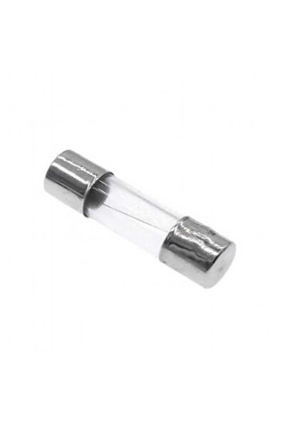 labshop41 5x20 mm 2 A Max 250VAC Cam Sigorta x 1 adet (rf080)