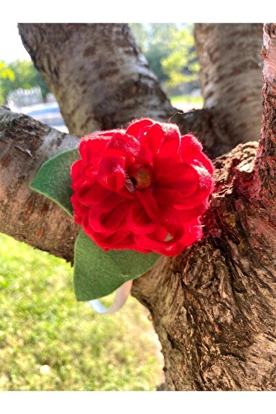 canan dizayn OSEĆAO mačka STEPENICA RUŽINA KRUNA CRVENA