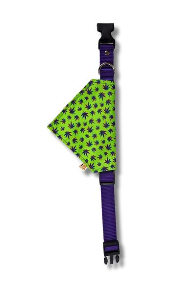UTDpet Leaves Dog Collar with Scarf