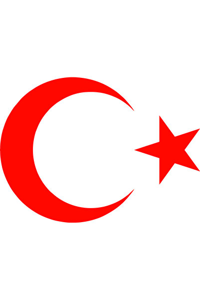 MALİFESTO Moon Star Sticker 40*30 cm Foil Cut