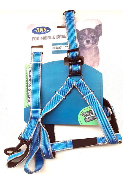 AMORE Luxury Comfort Dog Collar and Walking Strap Blue Set Medium 12-15Kg
