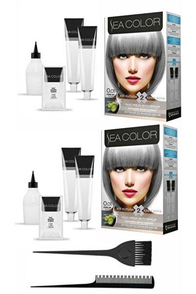 Sea Color Bir Kutuda 2 Boyama X2 Adet 0.01 Füme Gri+tarak-fırça