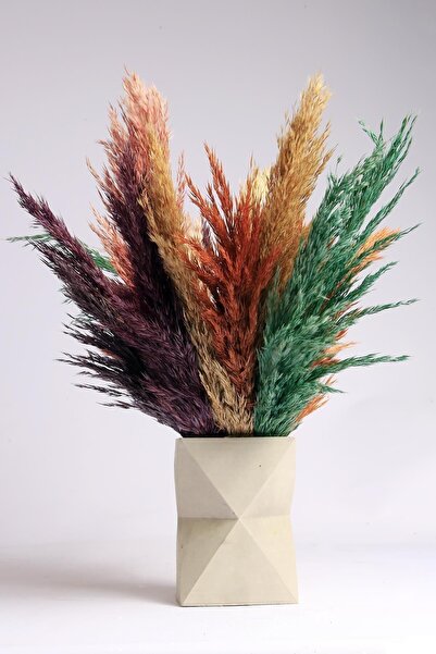 MiniHediye Saksıda Pampas (BETON GÖRÜNÜMLÜ) Vazoda Kuru Çiçek Dekoratif Karış...