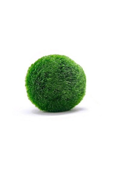 Oquanus Marimo Moss Ball 3-4 cm Yosun Şans Topu