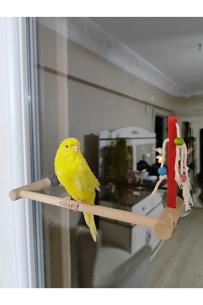 SAKAPET Budgie - Glass Perch with Suction Cup, 4 Suction Cups, Play As03
