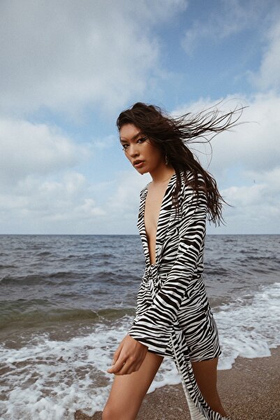 LA LOUVE Zebra Dress