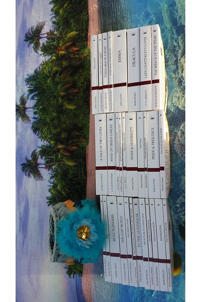 MK Publications English 4 Different Novels - NOT THE VIEWS - 4 DIFFERENTS NOVELS WILL BE SENT FROM OUR STOCK