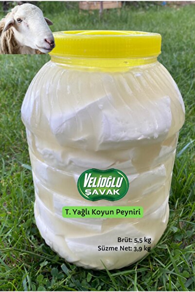 v.ş VelioğluŞavak Tam Yağlı Salamura Koyun Peyniri (BRÜT:5,5 KG NET:3,8 KG)