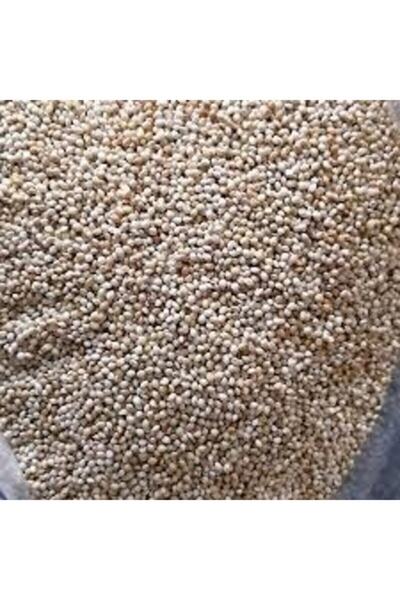 İKSİR PROF KUŞ MAMASI Ak Darı 1 Kg