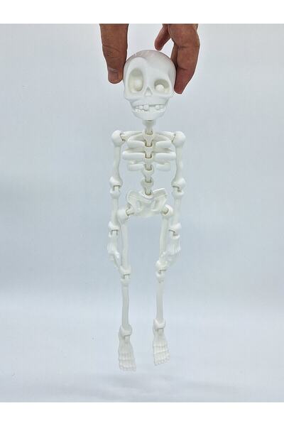 Flexi Factory Kemx3d-büyük Boy Iskelet / Yüksek Kalite / *lisanslı Model* / Duvar Tablo Modeli / 33cm / Beyaz