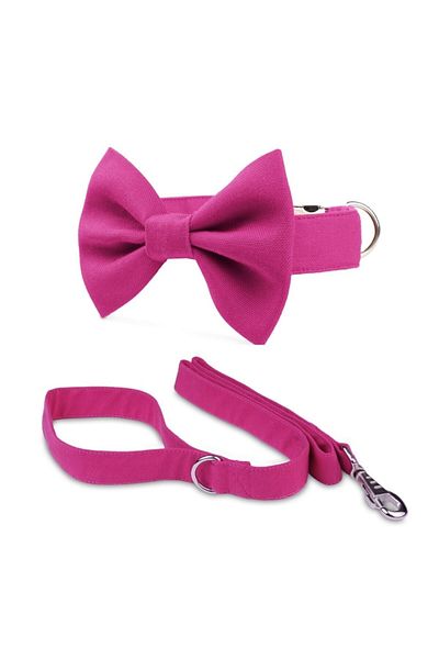 Lusi Doog Pink Bow Tie Dog Collar and Lease Set