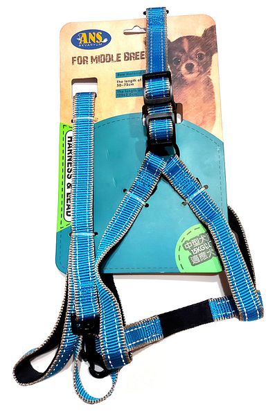 AMORE Luxury Comfort Dog Collar and Walking Strap Blue Set Medium 12-15Kg
