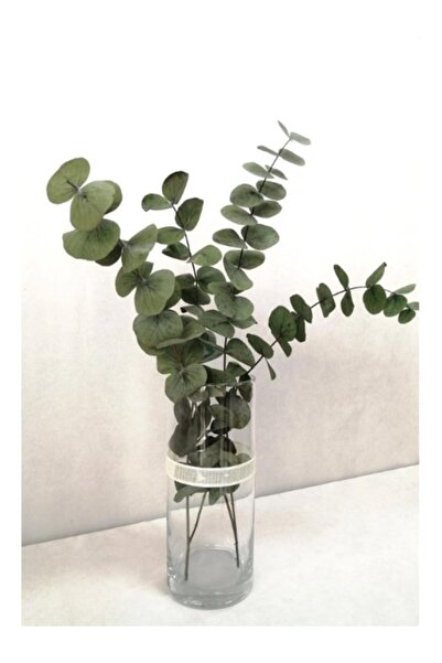 trendbahce Şoklanmis Büyük Yeşil Okaliptus Demeti