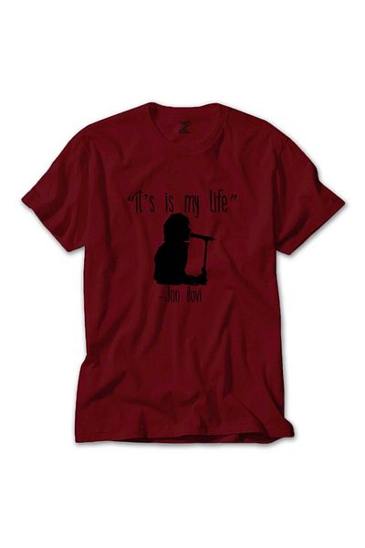Z zepplin The 100 Survival isn't Who You Are Red T-Shirt