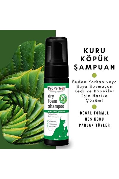 Genel Markalar Kedi Köpek Kuru Köpük Şampuan 200 Ml Aloe Vera Özlü
