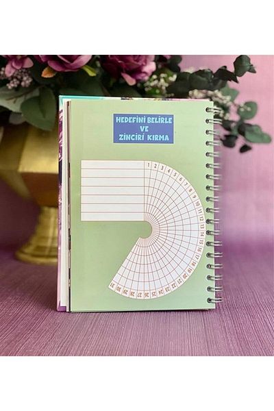 NaSaDAN Agenda vorbitoare cu design Saturn Girl
