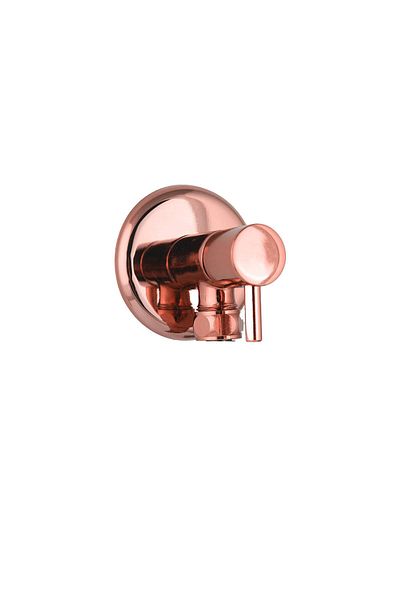 banyosepeti Gold Bidet Tap Copper Bidet Rose Gold Bidet Antique Antique Bidet Tap Spiral Included