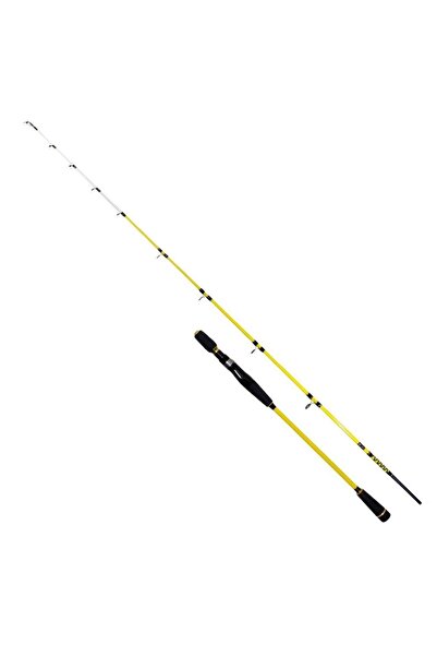 REMIXON Ryuji Sparrow 1.70M 15-200GR 2P Bot Kamışı