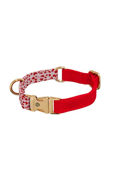 GoPawGo Charmed Valentine Cat Collar