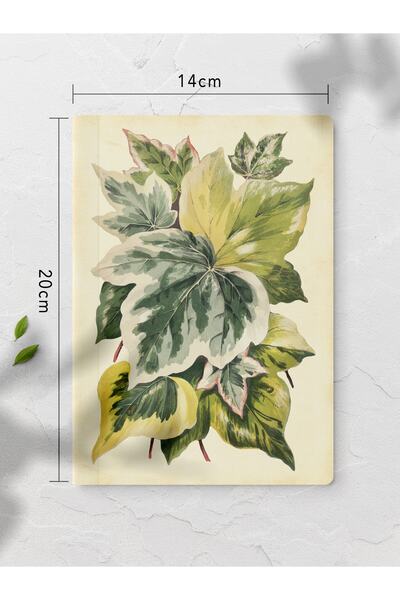 Postifull Vintage Defter Seti - 4 Adet Journal Notebook - Not Defteri - 14cm*20cm - 64 Sayfa