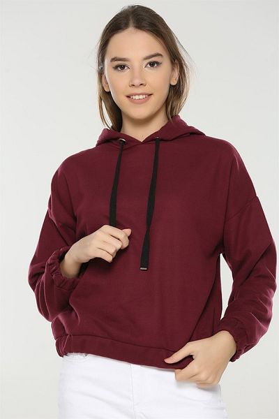 Plus size burgundy on sale hoodie