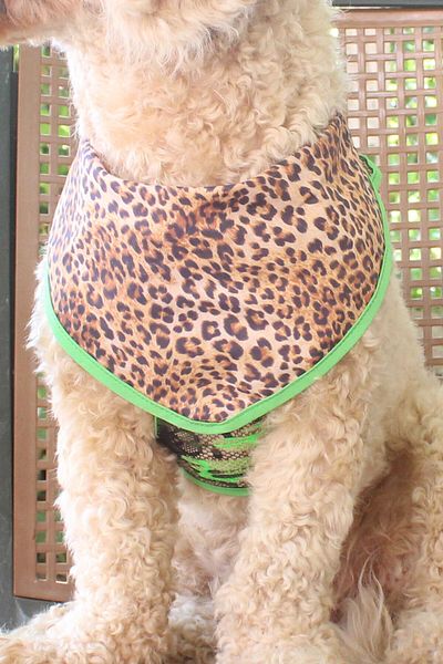 Globodepo Chest Body Collar with Adjustable Collar and Bandana - Dog Harness Anti-Escape, Accessory