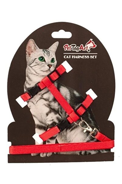 Pet Tag Art طقم طوق قطط قابل للتعديل من PetTagArt أحمر 10 ملم 110 سم