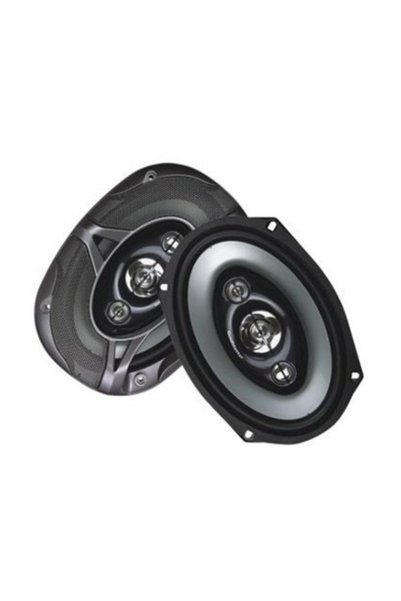 GOLDMASTER RM-6999 Oval Hoparlör