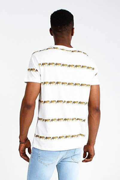 Collezione Short Sleeve T-Shirt Kaplora - UCE143701A12