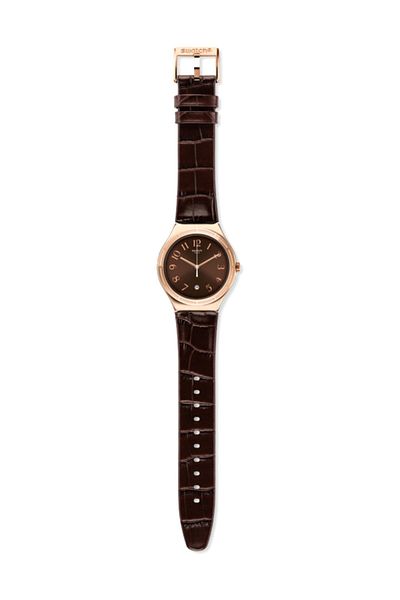 Swatch Men's Watch Ywg406