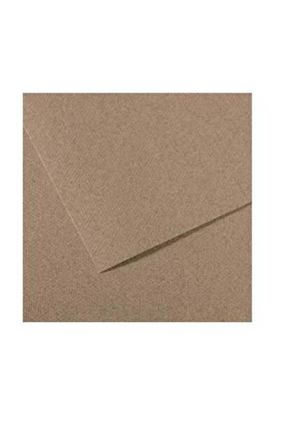 Canson ورق مقوى مزخرف 50 × 65 سم 160 جرام 431 رمادي مرقط 25 لتر (1 عبوة 25 قطعة)