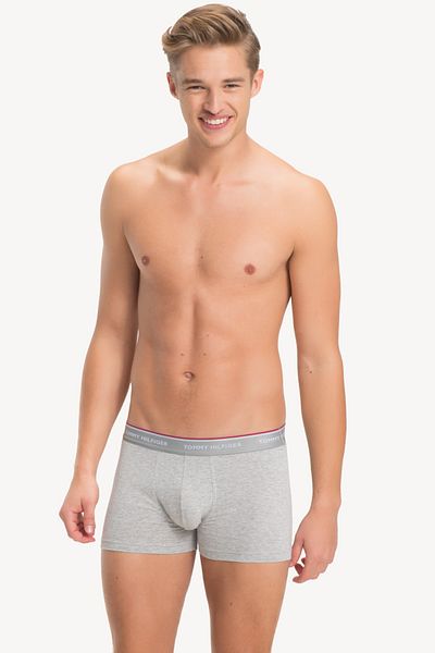 Tommy Hilfiger Ανδρικά 3 Pack Boxers 1U87903842