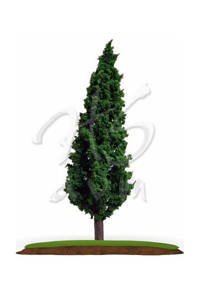 VOX Tree Model 6cm 2pcs Va-52a