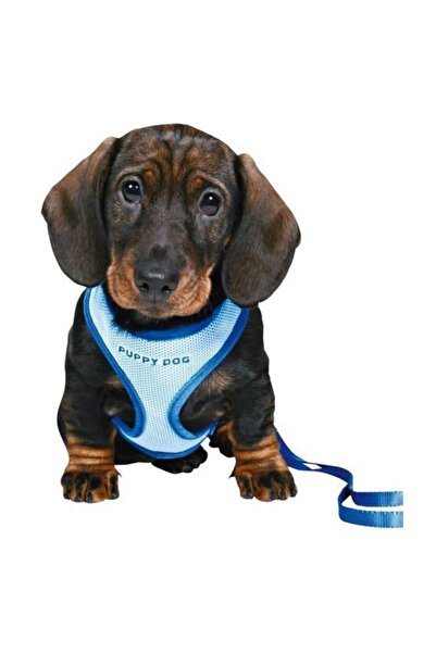 Trixie Yavru Köpek Göğ.tasma&kyışı,23-34cm/2m/10mm