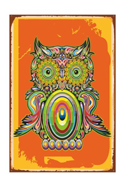 Hayat Poster Ρετρό Vintage Ξύλινη Αφίσα Κουκουβάγιας