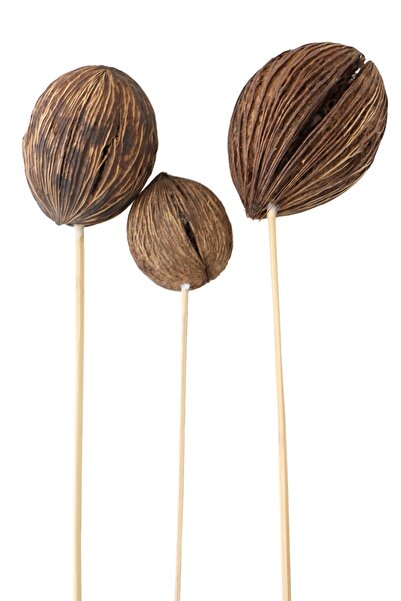 Yapay Çiçek Deposu 3 Boy Mintola Ball 40 Cm Naturel