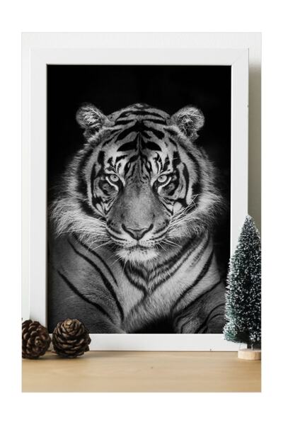 IKEA Tiger Tiger Wood 24X33 cm Design Frame