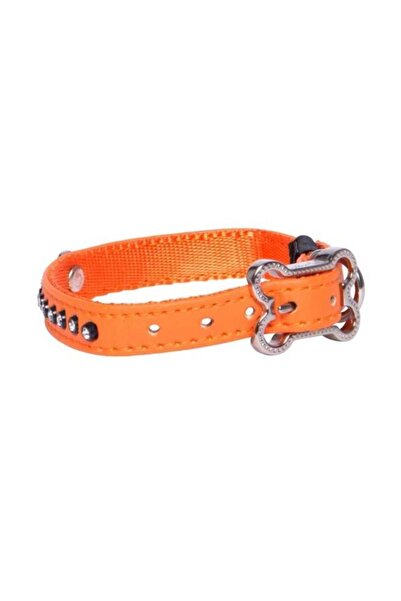 Köpek Boyun Tasması Taşlı Turuncu Xsmall 11 Mm 17-23 Cm
