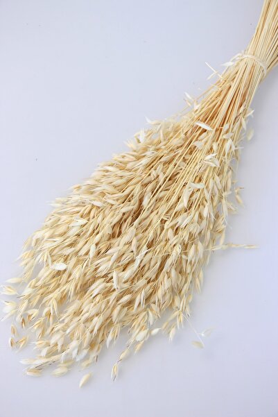 Yapay Çiçek Deposu Kuru Çiçek Yulaf Otu Demeti 50 Cm Naturel