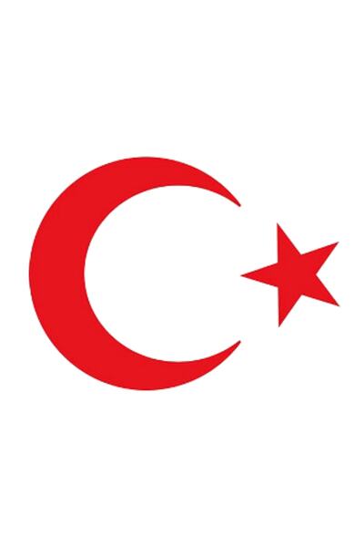 Sticker Sepetim Türk Bayrağı Sticker Ay Yıldız Araba Oto Sticker