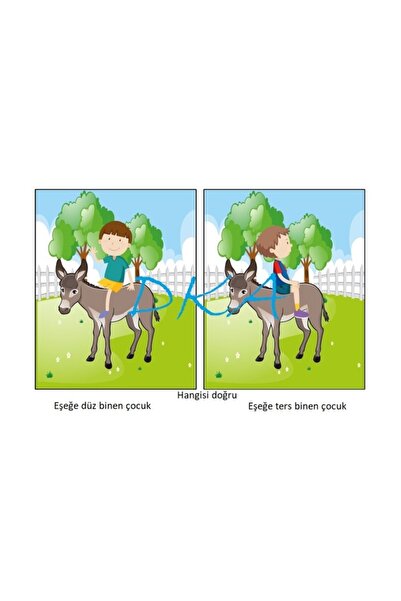 Dka Yayınları Doğru Yanlış Seti