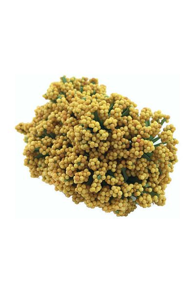 ELITETIME Cipso Τεχνητό Λουλούδι Χρυσό (3,5 cm* 3,5 cm) (144 Τεμάχια) – Διακόσμηση τεχνητών λουλουδιών, Στολίδι τραπεζιού, Φόντο